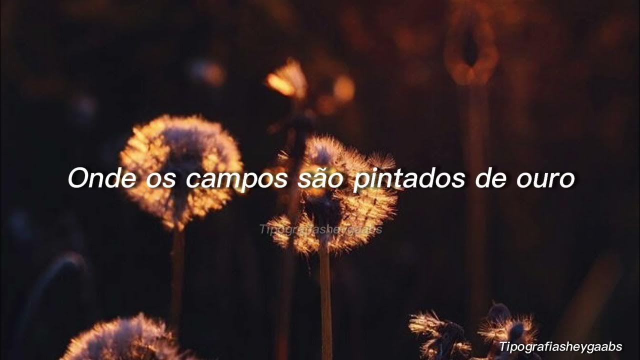 The Paper Kites Bloom (Tradução) YouTube