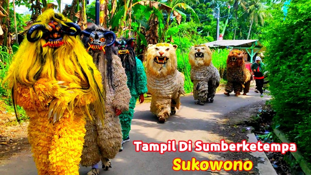 MERIAH ‼ Can macanan singo raung cilik di undang acara pengajian tampil di sumberketempa