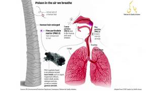 Pakistan, how clean is the air you breathe? | Abid Omar | T2F