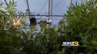 Pot Tax Court Ruling Could Impact Pueblo