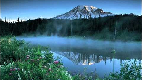 سورة التوبة 5-1 بصوت الشيخ مشارى راشد العفاسى