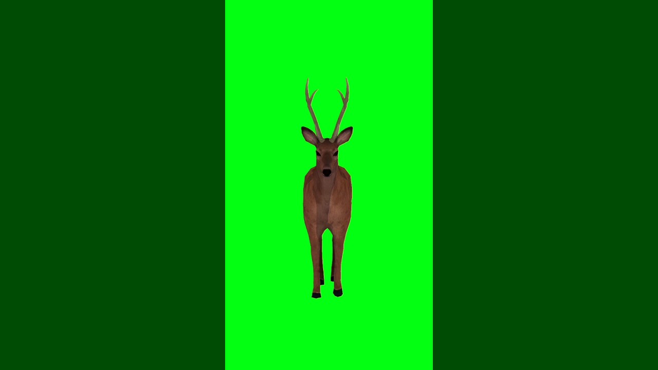 Deer running green screen animation video