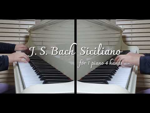 Siciliano(시칠리아노) (for 4hands) - J. S. Bach