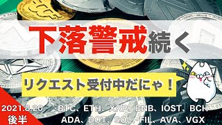 【DOT、SOL、FIL、AVAX、VGX】下落警戒続く（2021年8月20日 相場分析）後半