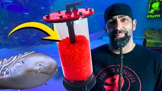 Why Do Our Aquatic Life Support Systems Look Like THIS?! 🤯