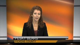 Sonja News Anchor Fetchyournews.com 4