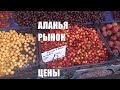 ALANYA Рынок 6 июля Клубника инжир цены Аланья Турция