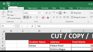 Excel Cut COPY Paste Undo Redo Lesson 6