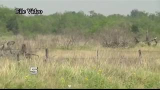 Missing Migrant Program Aids in Rescue of Man Smuggled into US