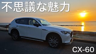 かな２０２１年マナビー6年後期 6/13 中嶋 真緒さん [くらさんの今日もツーリング日和] | 神奈川