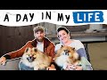 A full day in my life vlog running 2 big youtube channels  dlm lifestyle s1e1