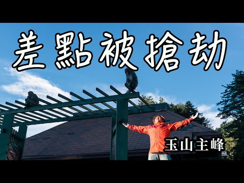 [Mantou's Daily Group Tour] We almost got robbed by monkeys! Make sure you keep your things safe!