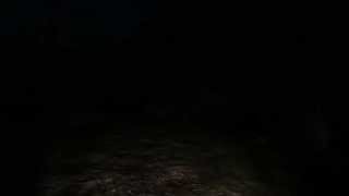 PINEVIEW DRIVE - Launch Trailer