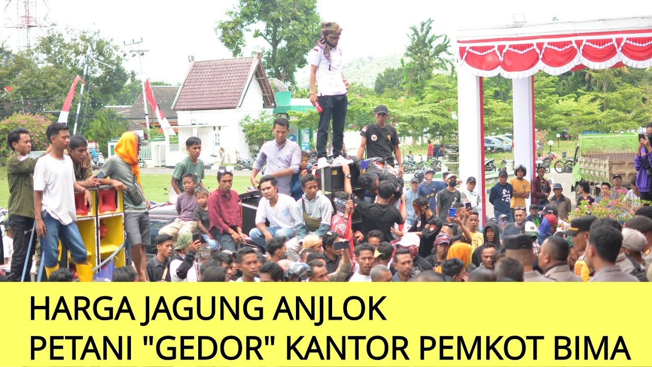 Harga Jagung Anjlok, Petani Gedor Kantor Pemerintah Kota Bima