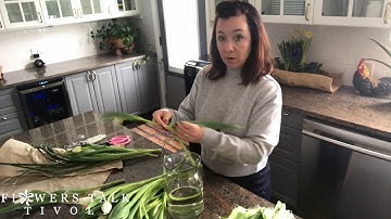 Simple DIY Tulip Arrangement