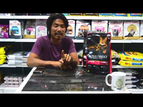 Video: Adakah Makanan Kucing Asli Dan Makanan Kucing Holistik Sama?