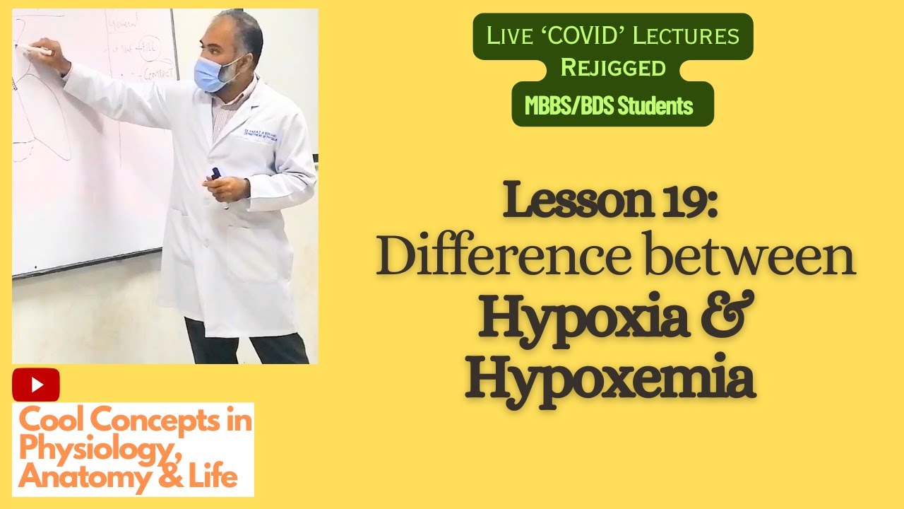 24 Difference Between Hypoxia And Hypoxemia Guyton Ganong 1stYR 24 difference between hypoxia and hypoxemia guyton ganong 1styr
