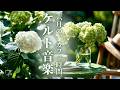 【ケルト音楽】六月の紫陽花カフェ ☕️ 落ち着くケルト音楽|June Morning BGM|Relax · Cafe Time