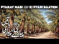 Pyaray nabi saw ki pyari baatein  muntakhib ahadees  sahi bukhai eman  hadees  hadith kalma