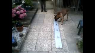 Kay Of Niniek Wish Sorteren 2