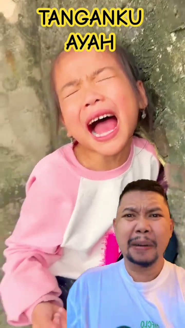 TOLONG AKU AYAH!!!?? #cat #shortsfeed #funny #shorts