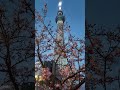 JAPAN(4K)Walking in Tokyo Japan✨ Such a beautiful day in Tokyo!✨