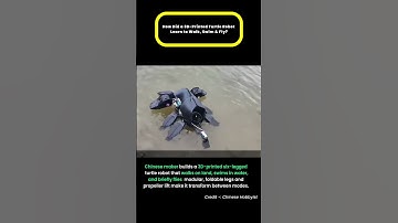 How Did a 3D Printed Turtle Robot Learn to Walk, Swim & Fly