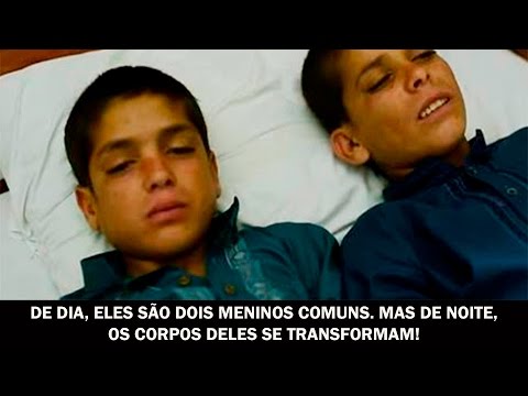 Vídeo: Expansão Aprimorada De Células Estromais Mesenquimais Derivadas De Sangue De Cordão Eqüino Usando Microtransportadores Em Biorreatores Com Suspensão Agitada