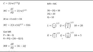 Substitution Effect and Scale Effect of a Wage Increase – Mathematical Example