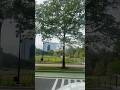 POV: you go to the Franklin institute in Philly