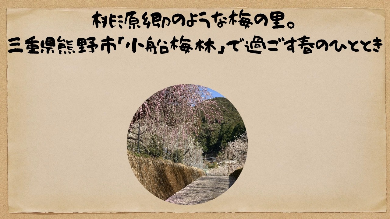 梅の花に囲まれてキャンプ？三重県小船キャンプ場のロケーションが最高すぎた