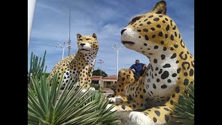 2 Parte Olha Que Coisa Mais Linda Ceu São Raimundo Nonato-Pi