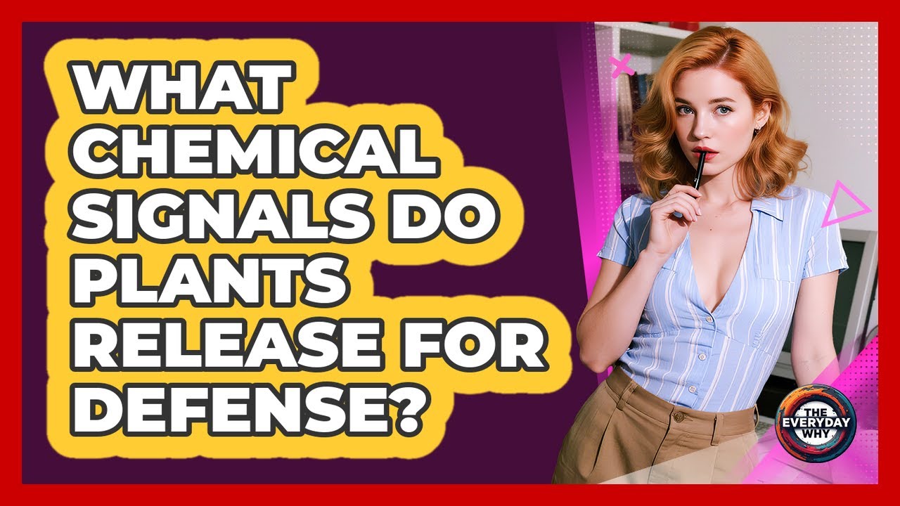 What Chemical Signals Do Plants Release For Defense? - The Everyday Why