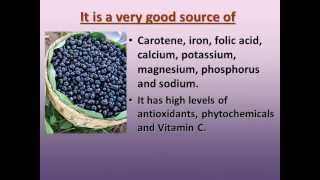 20 health benefits of Jamun / Black Berry