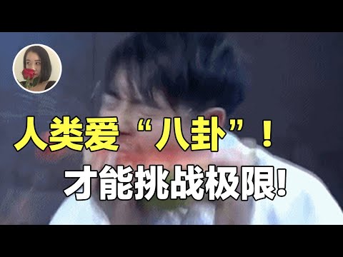 【邓巴数】人类会八卦!才能挑战极限以及大规模协作!