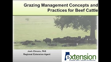 Grazing Management Concepts and Practices