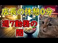 【猫ミーム】うどんより熱い！？丸亀製麺の裏側がガチで過酷すぎた