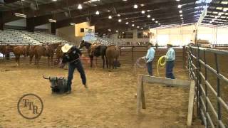Total Team Roping Sampler 8/1/2011