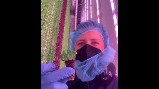 Grow Laboratory - Biology, Nutrition, Environment  @Advancing Eco Agriculture @LED Gardener