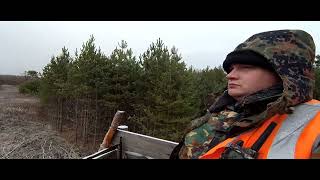 Охота часть 1, Россия, Кировская область (Hunting part 1, Russia, Kirov region)