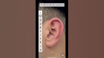 How To smooth + beard Style In Sketchbook #editing