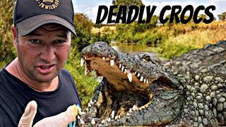 Feeding the deadliest crocs in the world!!!