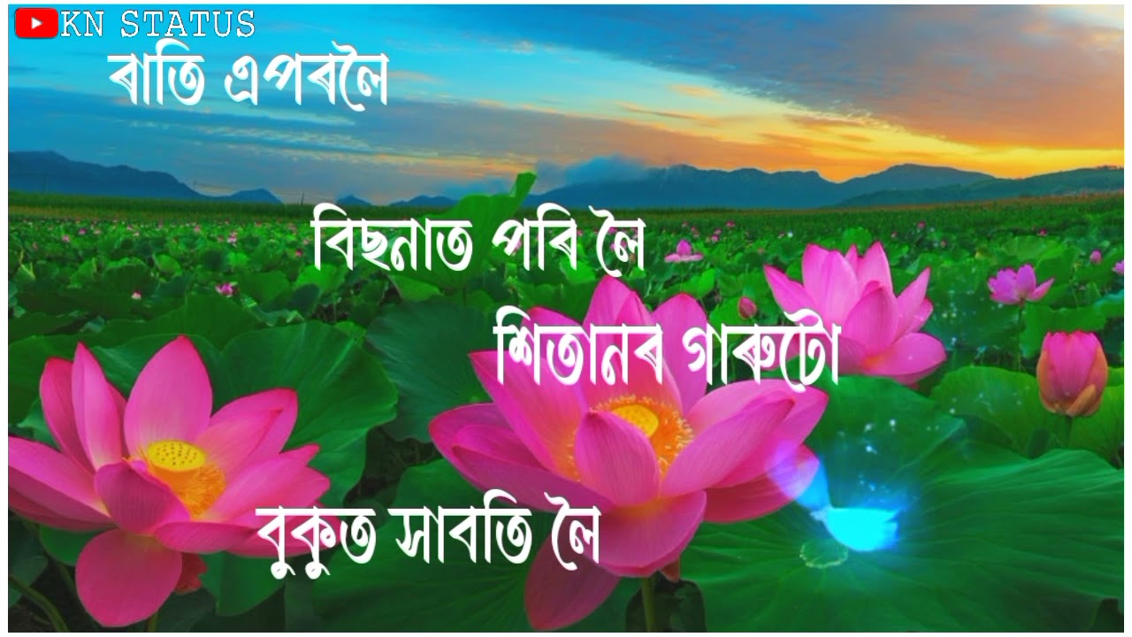 Rati Aporoloi Bisonat Poriloi  Assamese romantic Bihu song status video  Zubeen Garg