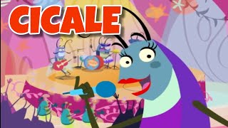 Video thumbnail of "Cicale | Marty e i suoi amici | Canzoni Per Bambini"