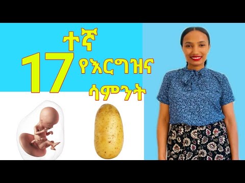 የእርግዝና አስራሰባተኛ ሳምንት //17 week of pregnancy ;What to Expect
