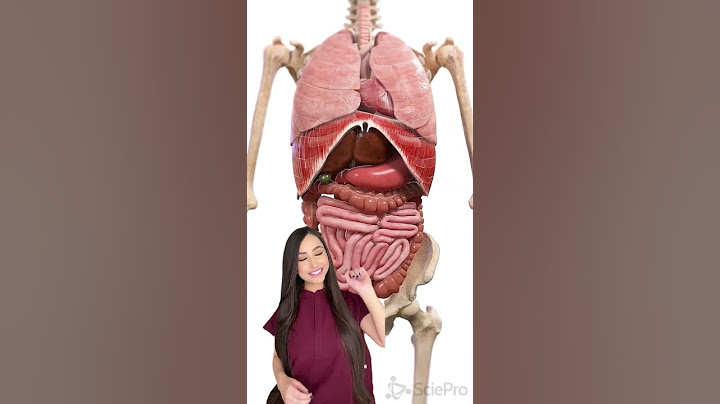 Así se mueven nuestros órganos👩🏻‍⚕️ #medicina #interesante #sabíasque