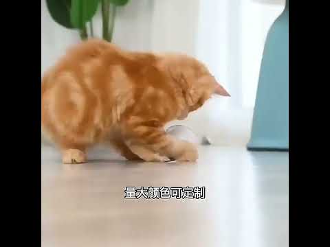 Розумна інтерактивна іграшка для котів "М'ячик з хвостиком та пір'ям" на USB, видео 1