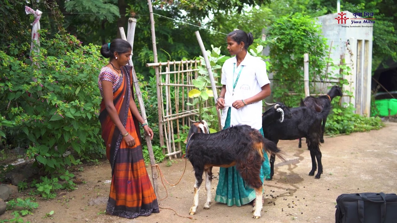 शेळीपालनाचं आधुनिक विज्ञान आत्मसात करून 130 हून अधिक महिलांच आयुष्य बदलवणाऱ्या आदिवासी ताईंची गोष्ट
