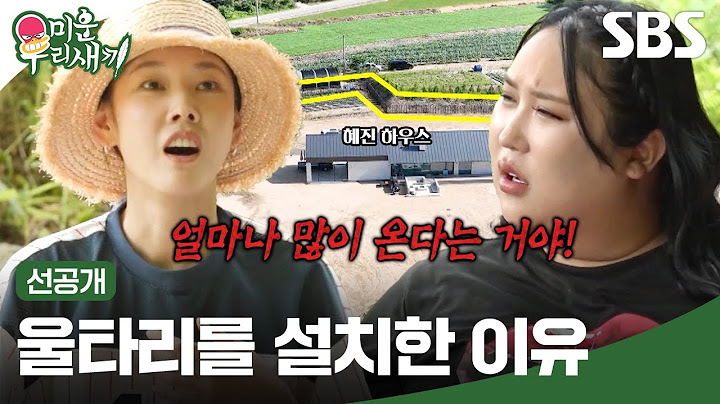 [선공개] 홍천 관광지가 된 혜진 하우스?! 풍자도 화난 한혜진이 집 밖에 울타리를 설치할 수 밖에 없었던 이유🤬  | 미운 우리 새끼 | SBS