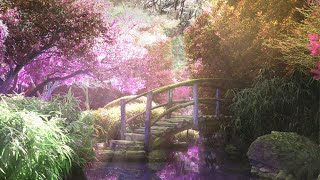 Secret Garden | Relaxing ASMR Ambience with Nature Sounds | Ambience for Relaxing or Sleeping